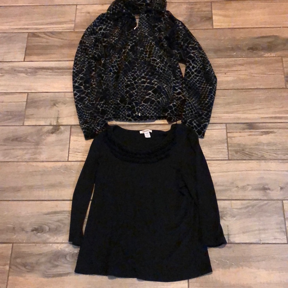 Two size petite large pieces Jane Ashley jacket and a Hampshire Studio shirt